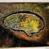 BRAIN 30x40 Brain