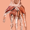 Anatomie d'une vie en mouvement